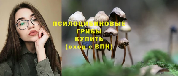 стафф Алексеевка