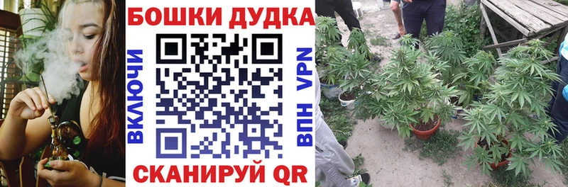 Купить где  Кодинск  Каннабис VHQ 